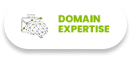 domain expertise