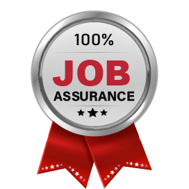 100% job assurance